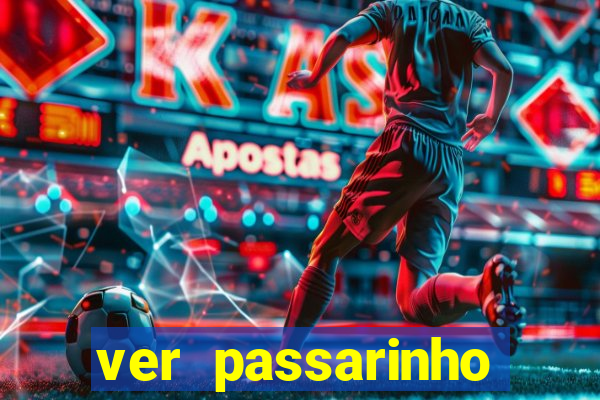 ver passarinho morto significado